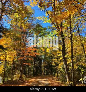 Straße im nördlichen Wisconsin im Herbst Stockfoto