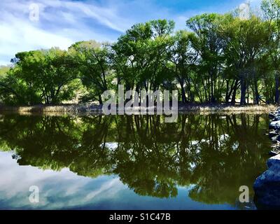 Pahranagat National Wildlife Refuge am letzten Tag des Winters Stockfoto