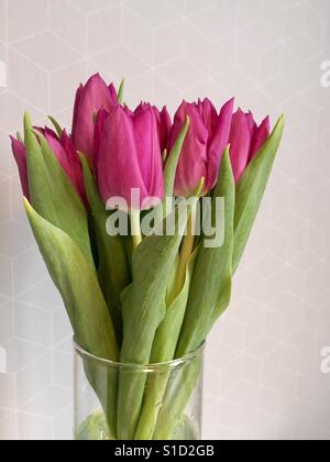 Violette Tulpen im Glas Vase Stilleben Stockfoto