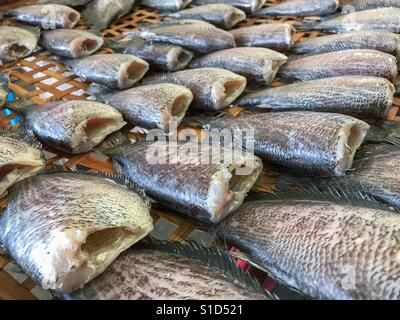 Gesalzene Maid Trockenfisch in thailändischen Markt verkauft Stockfoto