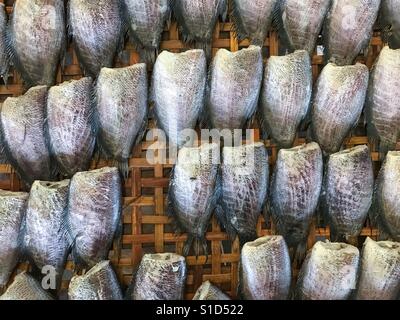 Gesalzene Maid Trockenfisch in thailändischen Markt verkauft Stockfoto