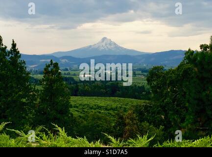 Mt. Hood aus einen Blick in Hood River, Oregon. Stockfoto