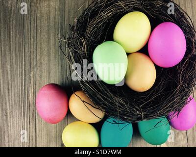 Ostereier im nest Stockfoto