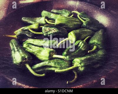 Pimientos de Padron, Capsicum Annum aus Galizien. In einer Pfanne vor gekocht wird. Stockfoto