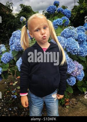 Porträt von 4 jährige blonde Haare blaue Augen Mädchen vor einem Blaue Hortensie Busch in den Lake District, England, Vereinigtes Königreich Stockfoto