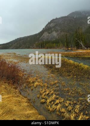 Am Straßenrand Lake im Jasper Nationalpark, Kanada Stockfoto