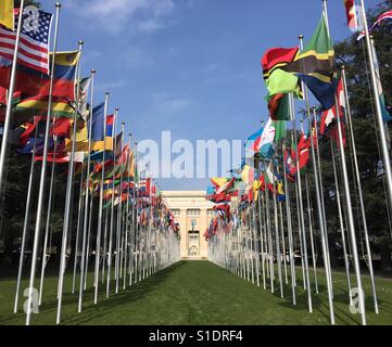 Eine Reihe von Fahnen vor dem Amtssitz der Vereinten Nationen in Genf, Schweiz. Stockfoto