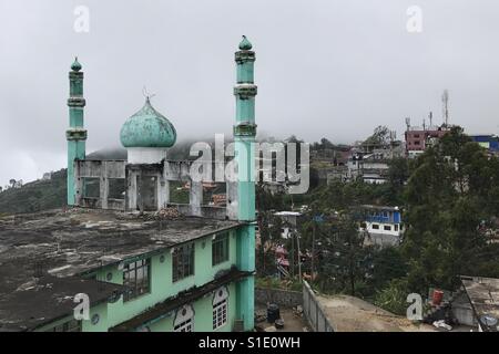 Eine grüne Moschee befindet sich in Haputale, Sri Lanka Stockfoto