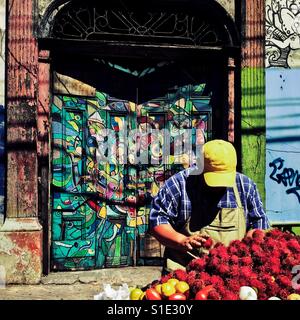 Ein El Salvador Mann verkauft die Rambutan Frucht vor einem zerstörten Haus mit spanischer Kolonialarchitektur Elemente, im Zentrum von San Salvador, El Salvador, 12. November 2016. Stockfoto