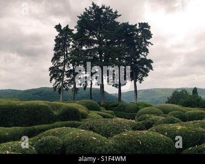 Labyrinth im Jardins de Marqueyssac, Dordogne in Frankreich Stockfoto