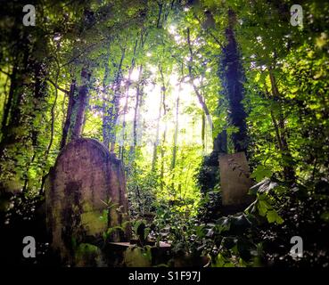 Überwucherten Grabsteinen in Nunhead Friedhof. Stockfoto