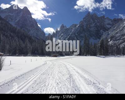 Langlaufloipe in Val Fiscalina, Italien Stockfoto