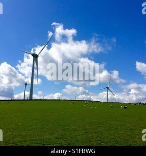 Royd Moor Windfarm, South Yorkshire Stockfoto