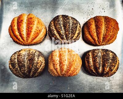 Paul Hollywood bereit, kernigen Brot backen Brötchen Stockfoto