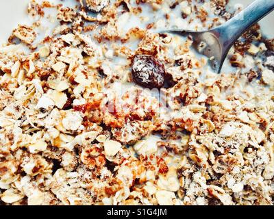 Frühstück-Müsli Stockfoto