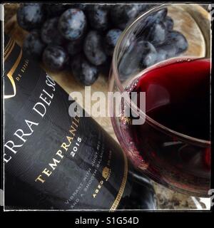 Ein Glas roten Tempranillo Wein (und Flasche) mit einigen "Herbst Royal" [Essen] Tafeltrauben auf einem Holzbrett. Stockfoto