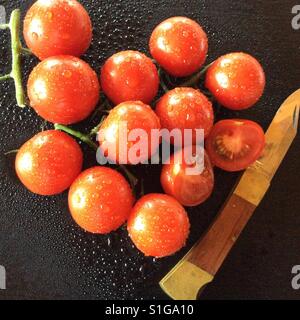 Geerntet und gewaschenen Reife Kirschtomaten, Hälfte-Schnitt und Tasche Messer Stockfoto