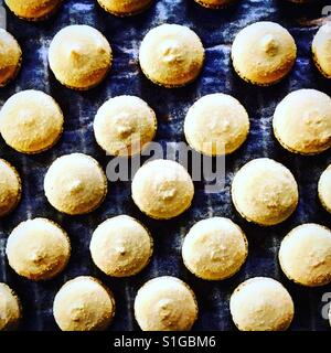 Vanila Macarons Draufsicht Stockfoto