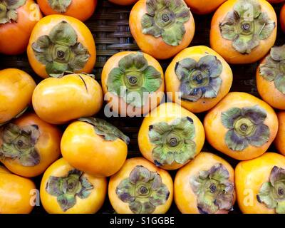 Die Kaki ist die essbare Frucht einer Reihe von Arten von Bäumen der Gattung Diospyros. Diospyros ist in der Familie Ebenaceae, und andere Mitglieder der Gattung für Ebenholz Holz angebaut. Stockfoto