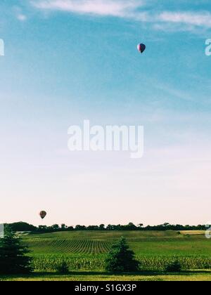 Heißluftballons über ein Feld Stockfoto