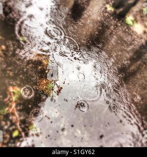 Regenwasser, schlagen eine Pfütze Stockfoto