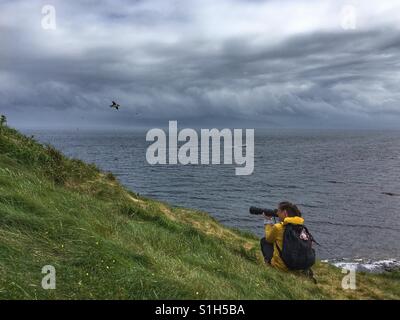 Weibliche Fotografen fotografieren der Papageientaucher auf Staffa Insel in Schottland Stockfoto