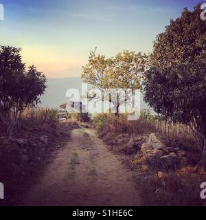 Unbefestigte Straße führt zum goldenen Baum bei Sonnenuntergang auf Seite der Agua Vulkan, in der Nähe von San Juan del Obispo, Antigua, Guatemala Stockfoto