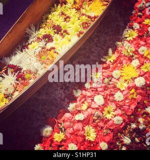 Bunte Blumen auf Osterwoche Prozession Teppich in Antigua, Guatemala, Mittelamerika Stockfoto
