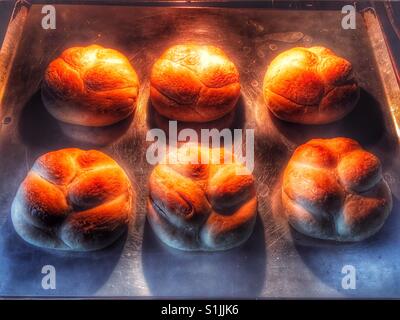 Paul Hollywood Teil gebackenes knuspriges Brot Brötchen Stockfoto