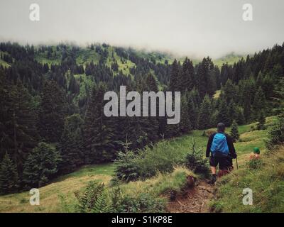 Die Rückseite eines Menschen wandern in die unteren Regionen der Deutschen Alpen Stockfoto