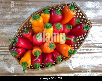 Homegrown Bio rot, gelb und Orange gefärbt Paprika in einem Korb auf einem Holztisch. Stockfoto