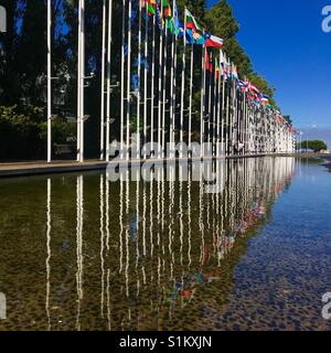 Reflexo de Bandeiras keine Parque Das Nações, Lisboa, Portugal Stockfoto