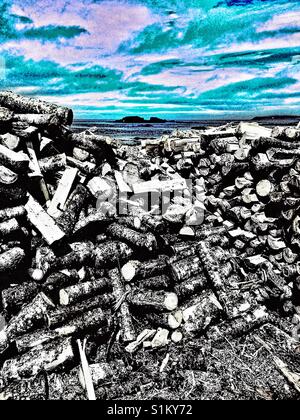 Protokolle und Atlantik, Neufundland, Kanada Stockfoto