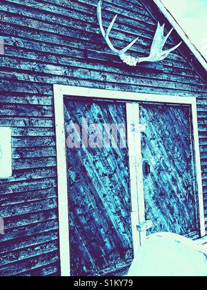 Elch Geweihe auf Holzhütte, Kanada Stockfoto