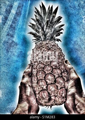 Ananas in der Frau Hände gegen den blauen Himmel Stockfoto