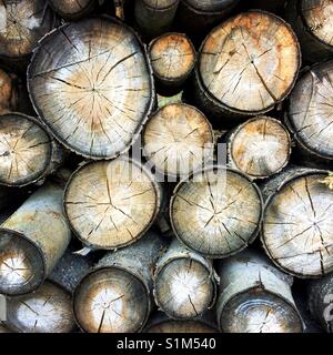 Ein Schuß aus einem Stapel von Brennholz Stockfoto