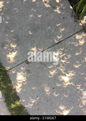Gelben Halbmond Mond und Sonne Schatten aus der 2017 partielle Sonnenfinsternis in Salt Lake City, Utah. Stockfoto