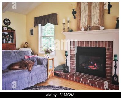 Ein Hund zur Festlegung auf einer Couch in ein hübsches Wohnzimmer mit Kamin. Stockfoto