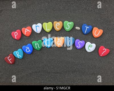 - Tu Parles Français? Stockfoto