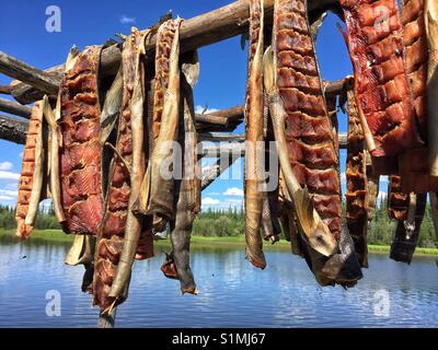 Lachs Fisch heraus hängen, die auf traditionellen Holz- Racks von River in Alaska, die Vereinigten Staaten zu trocknen Stockfoto