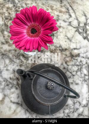 Von oben nach unten Foto von niedlichen kleinen schwarzen Chinesischen Teekanne mit tief roten Gerbera Blume auf Marmor tisch Stockfoto