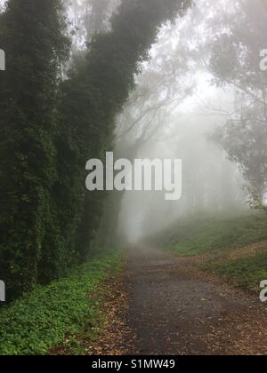 San Bruno Mountain, Daly City, Kalifornien Stockfoto