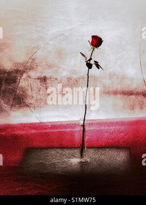 Eine einzelne rote Rose in einer Vase auf einem Tisch Stockfoto