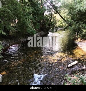 Logan Fluss in Logan, UT Stockfoto