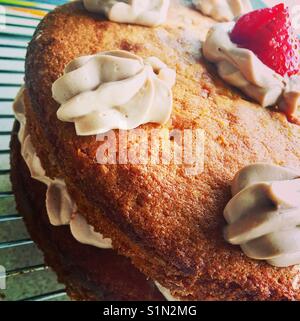 Nahaufnahme einer hausgemachten Kuchen. Stockfoto