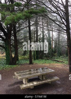 San Bruno Mountain, Daly City, Kalifornien Stockfoto