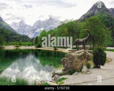 Steinbock am See Jasna, Slowenien, Kranjska Gora Stockfoto