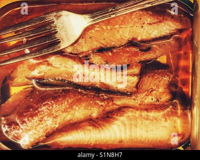 Ohne Knochen Sardinen in Sonnenblumenöl Stockfoto