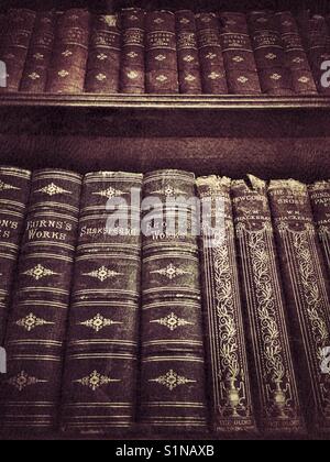 Antike Bücher auf Regalen in einem Bücherregal, Low Angle View Stockfoto