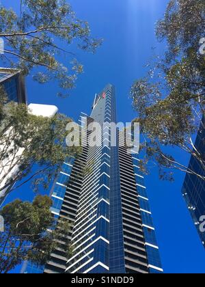 Eureka Tower in Melbourne mit Eukalyptusbäumen Australien Stockfoto